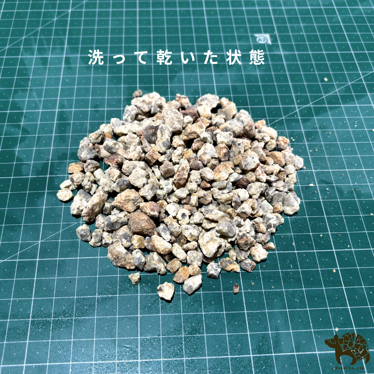 信楽砂利 20kg アメリカ風 かっこいい 砂利 アガベ - 画像 (2)