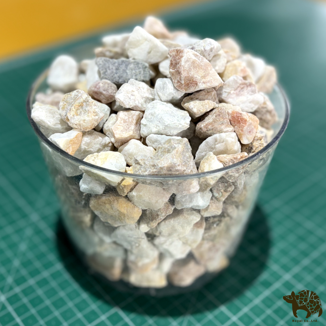 チップイエロー 18kg かっこいい かわいい 南国風 - 画像 (2)