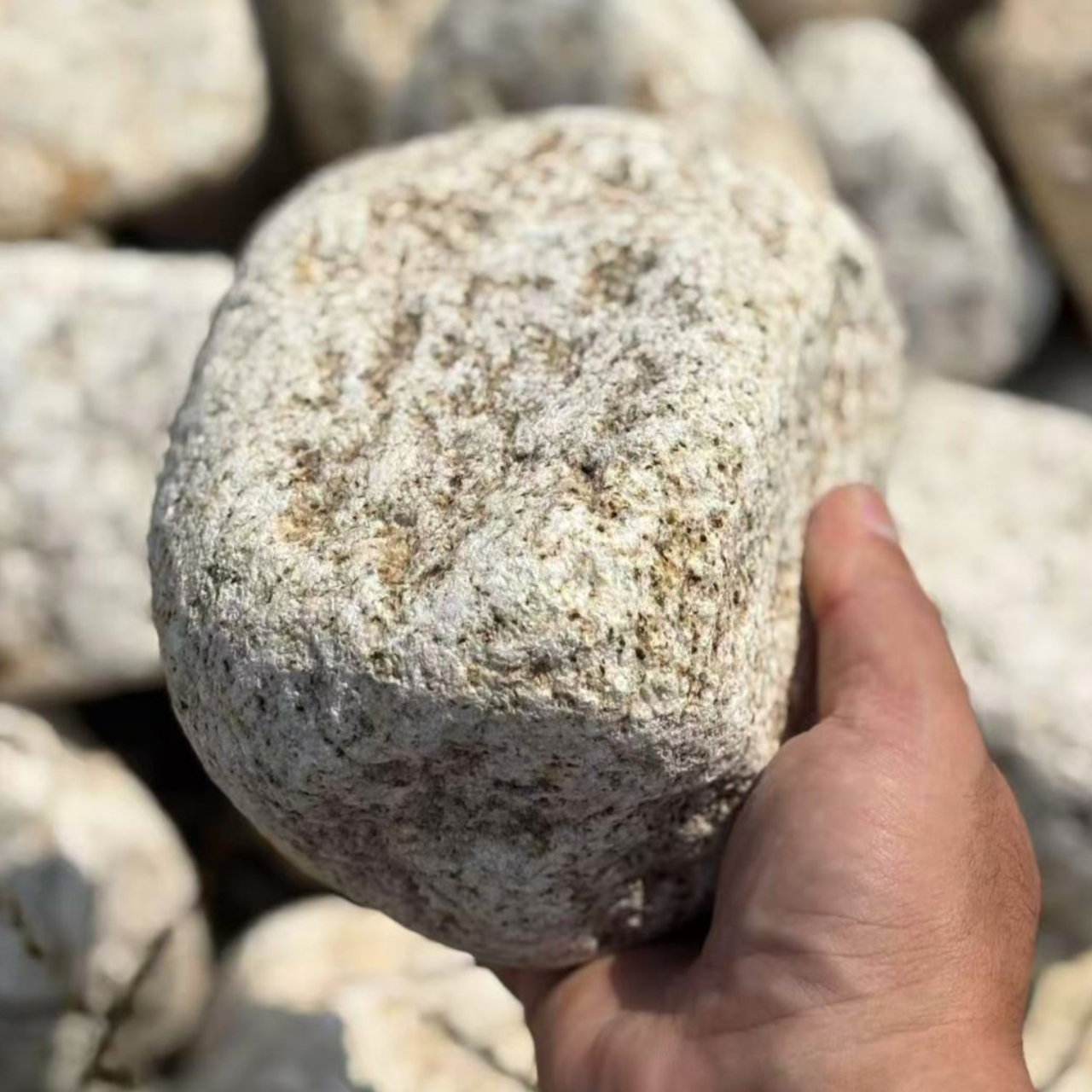 【100kg以上ご注文の方】【kg単位販売】さびごろた φ120-180mm内外 - 画像 (2)