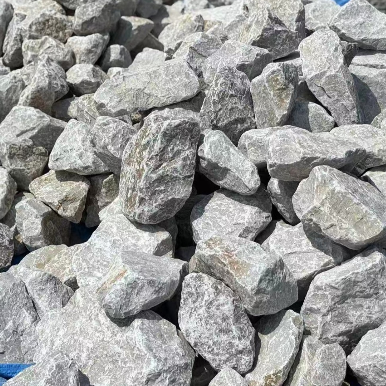 【100kg以上ご注文の方】【kg単位販売】アイボリー φ150-250mm内外 - 画像 (3)